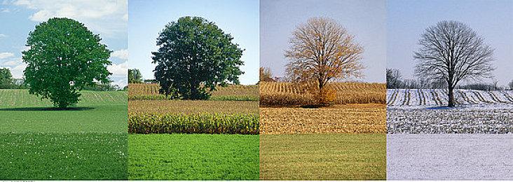 《街头霸王6》封测版本已经被泄露 已可游玩